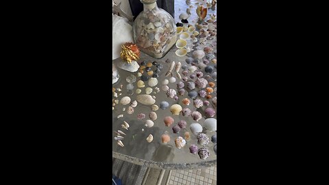 Beach Finds 10/6/2025 | 4K