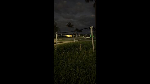 Livestream Highlight | Burrowing Owls Are Special LOL!