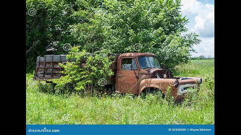 ~Gang Stalking Gerbils~