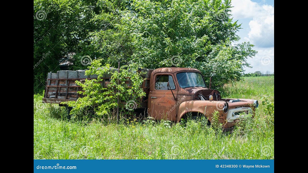 ~Gang Stalking Gerbils~