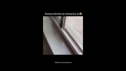 Racing with the cat to keep her in