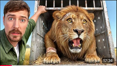 I Saved 1,000 Animals From Dying