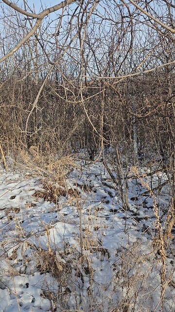 An old Fence in the Middle of Nowhere