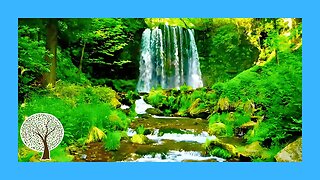 How to Find Tranquility and Serenity | Relaxing Piano Music with Water Sounds 🎹 Relaxing Music