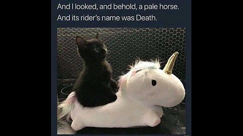 Fucked up bible basherrs on jabs crazy