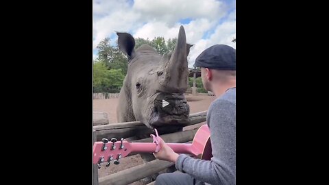 Absolut faszinierend! 🎸 Der Musiker begleitet seinen Gesang selbst mit der Gitarre.