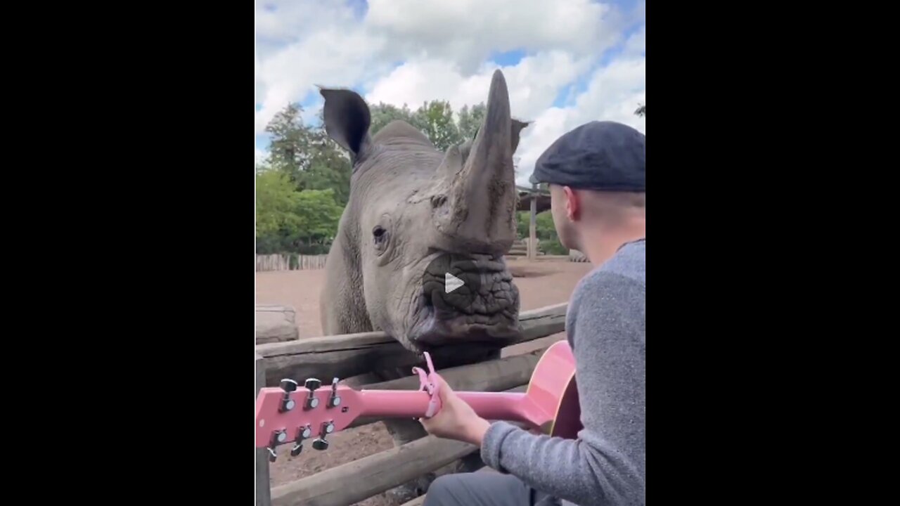 Absolut faszinierend! 🎸 Der Musiker begleitet seinen Gesang selbst mit der Gitarre.