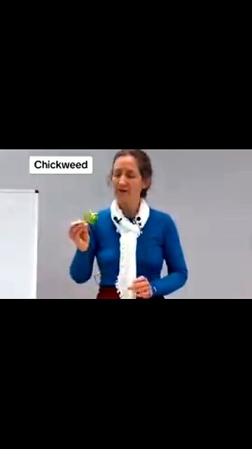 BARBARA O'NEILL - WHAT TO USE IF YOU OR SOMEONE YOU KNOW HAS PSORIASIS & ECZEMA 💥