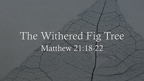 The Withered Fig Tree