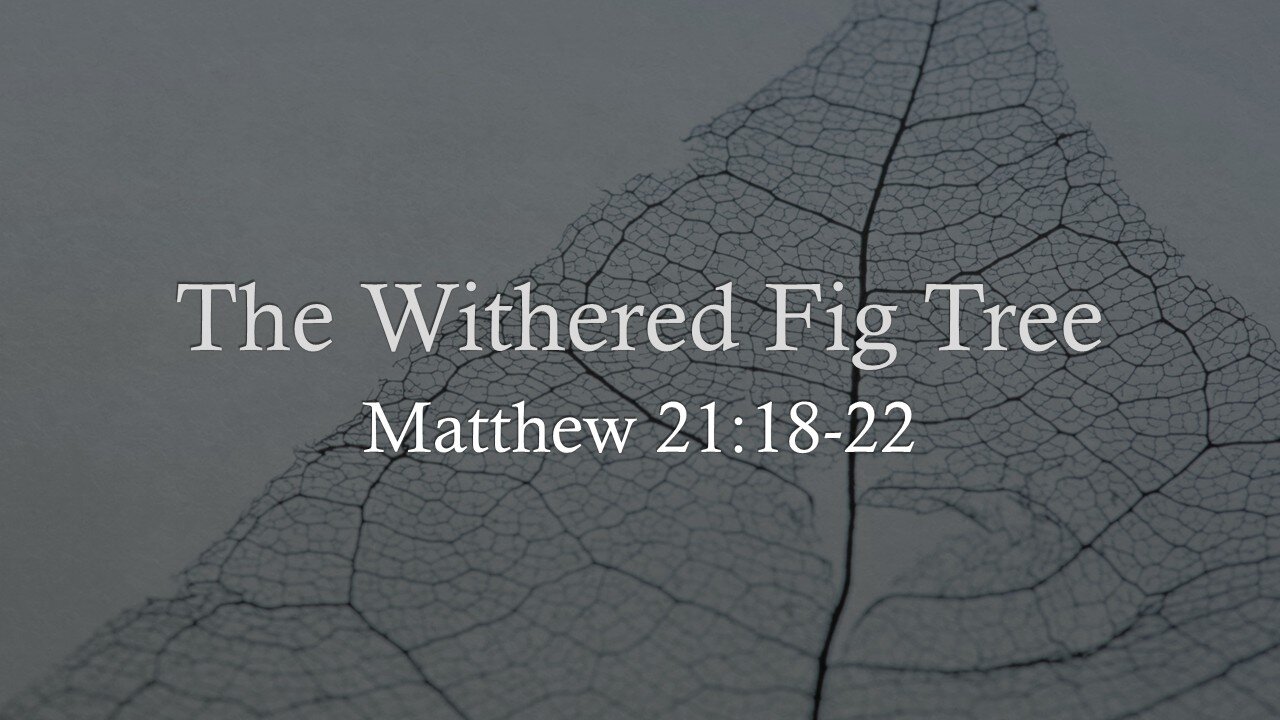 The Withered Fig Tree