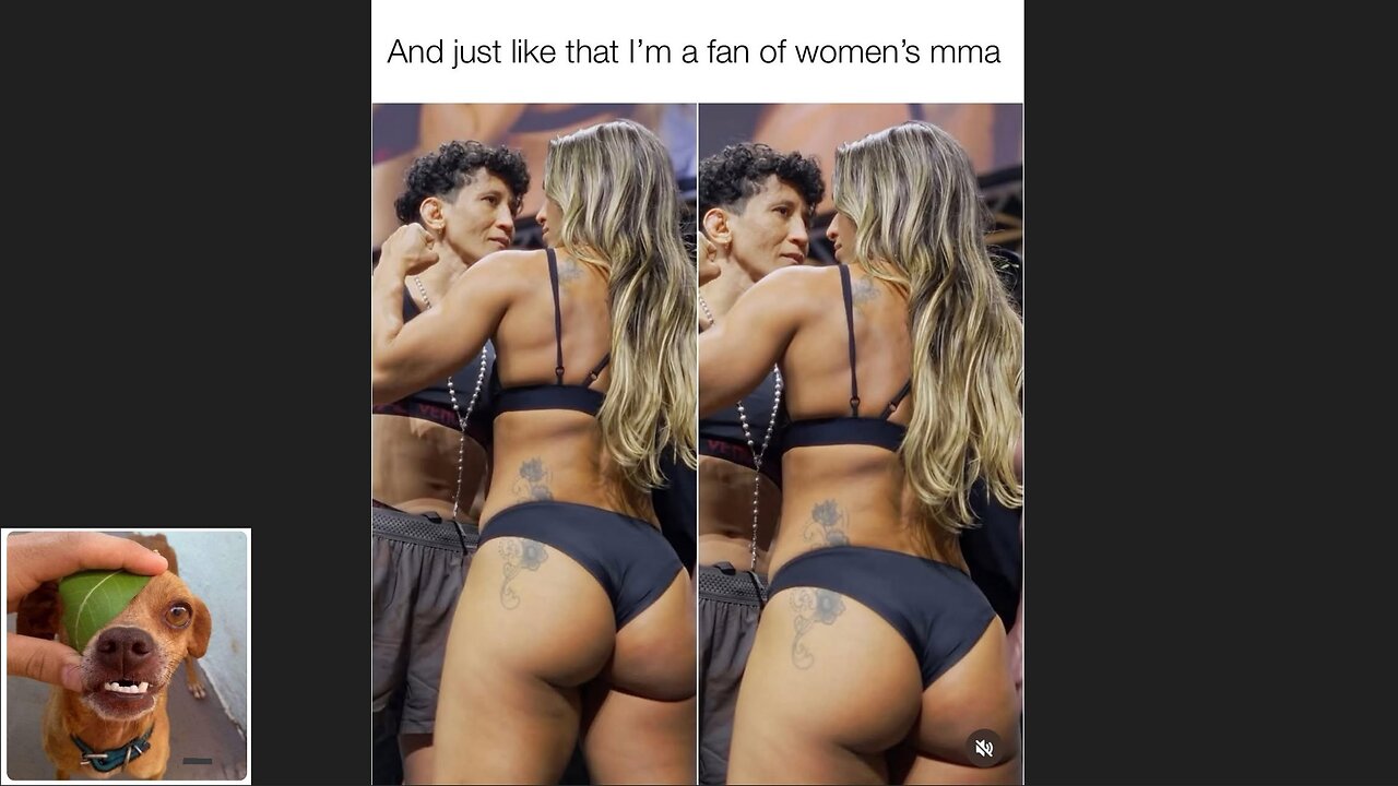 Memes That Will 99.0436% Make You Laugh. (e660)