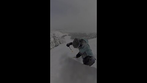 Hitting Snowboarder with My Ski!