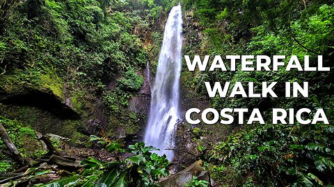 [4K] [60fps] Virtual Walk To A Waterfall In Costa Rica #costarica #travel