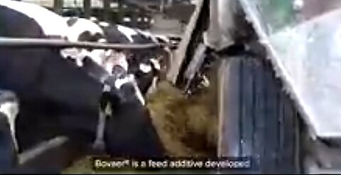 NEW “CHEMICAL MIX” FEED ADDITIVE BOVAER IS BEING USED ON COWS TO MEET CLIMATE CHANGE EMISSION GOALS