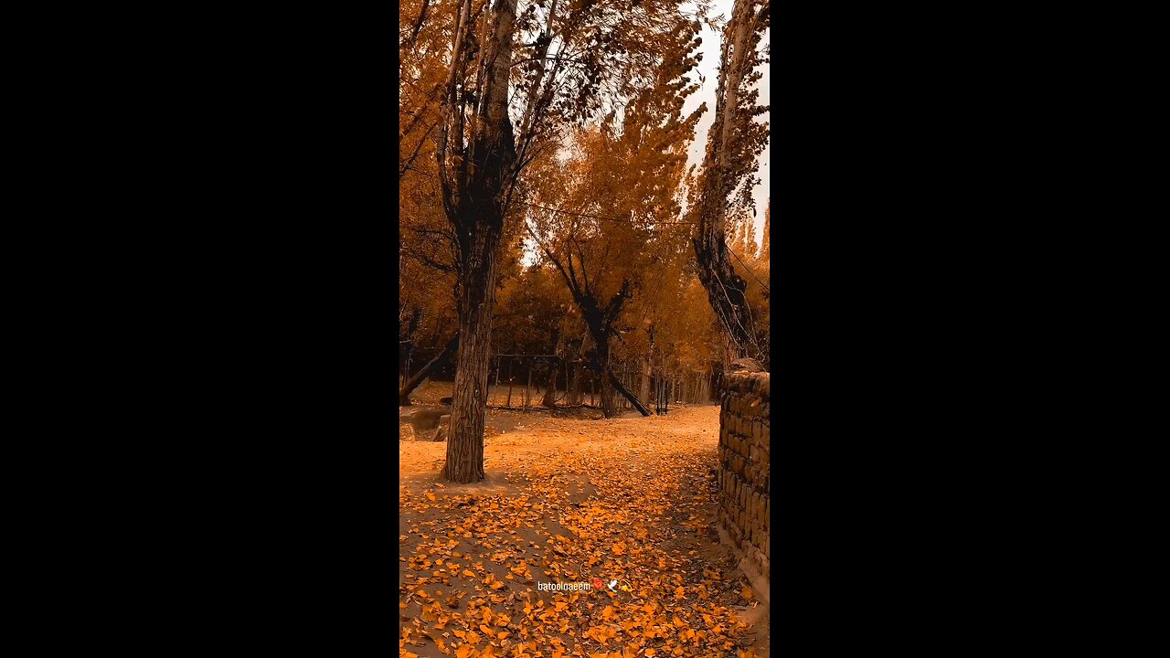 #foryoupage#viralvideo