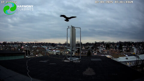 Cameras, Birdies and Ice, OH MY!