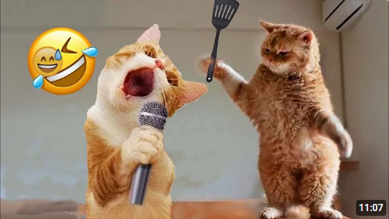 😂 Funniest Cats 2025 | Hilarious Cat Videos Compilation 😻🐾