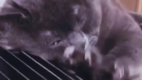 Cheer up it’s Friday 😊