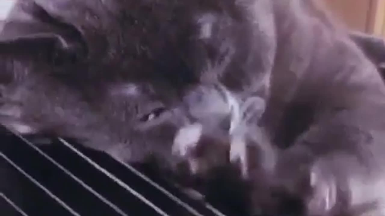 Cheer up it’s Friday 😊