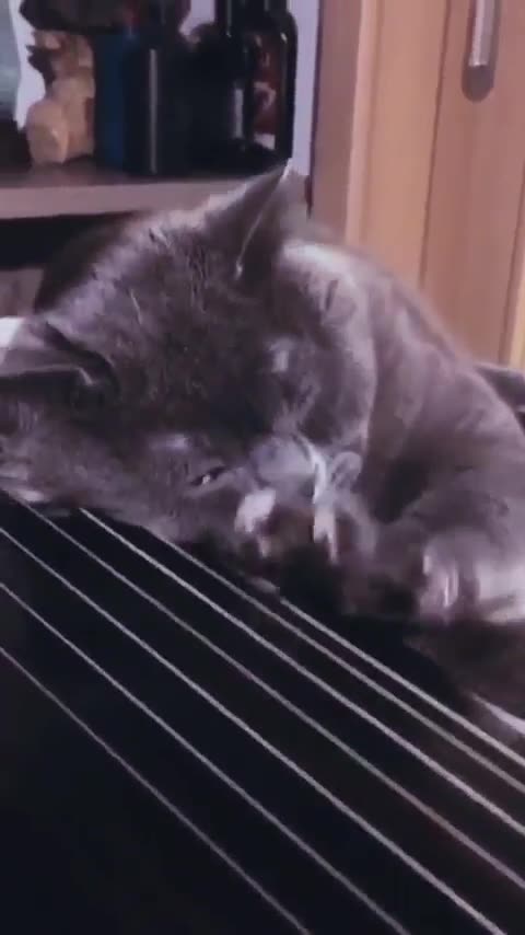 Cheer up it’s Friday 😊