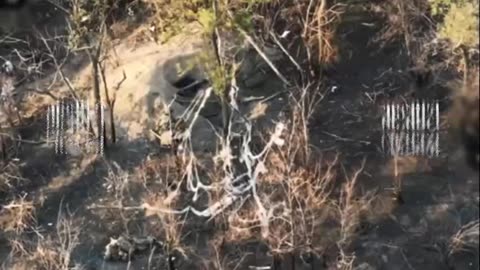War in ukraine
