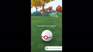 Pokémon GO-Shadow Caterpie
