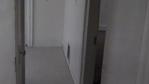 This is What a Bad tenant can do to your Place,