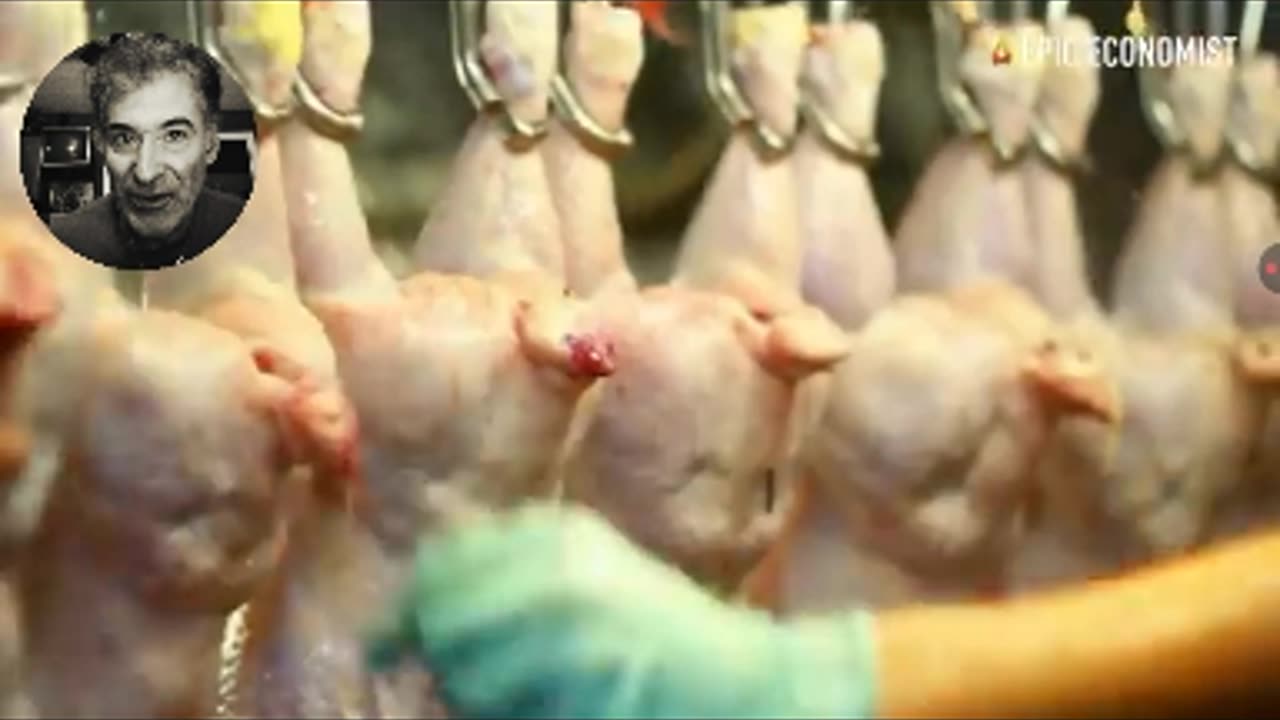 THE BIRD FLU HOAX RAMPS UP AS THE SHEEPLE LOSE THEIR MINDS OVER ORCHESTRATED EGG SHORTAGES