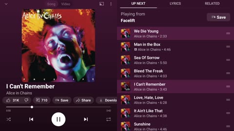 Alice in Chains Facelift Full Album