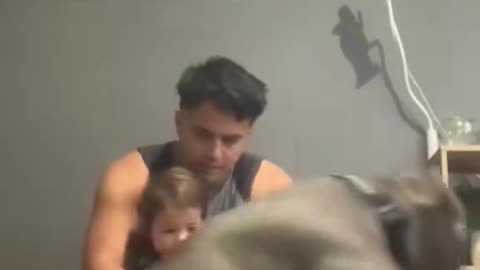 No entiende bien que hace el perro