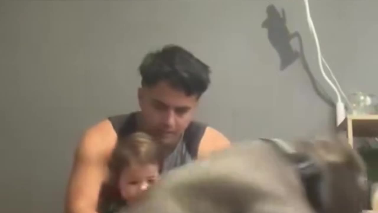 No entiende bien que hace el perro