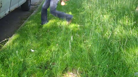 cutting grass on Webb st for castle rock, the shea show