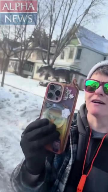 IS THERE ANY DOUBT? Renee Nicole Good ICE Shooting from Officer's Phone Camera