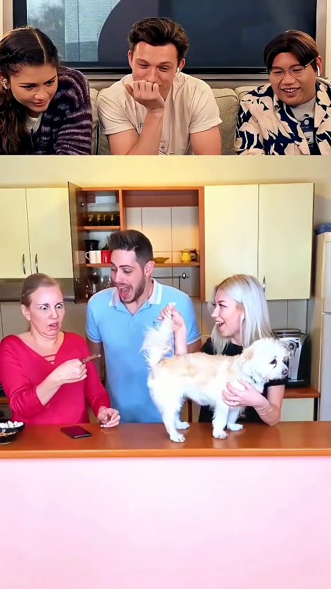 Tome Holland Reaction To The Wigofellas Video 🤣🤣🤣