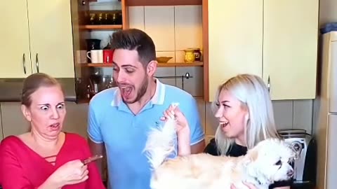 Tome Holland Reaction To The Wigofellas Video 🤣🤣🤣