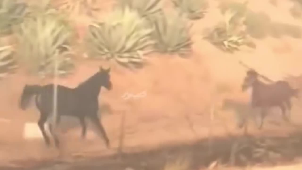 LA Wildfire ; The horse and her family's rescue from fire
