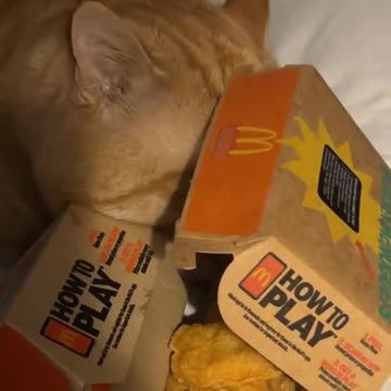 One chicken nugget hold the honey mustard