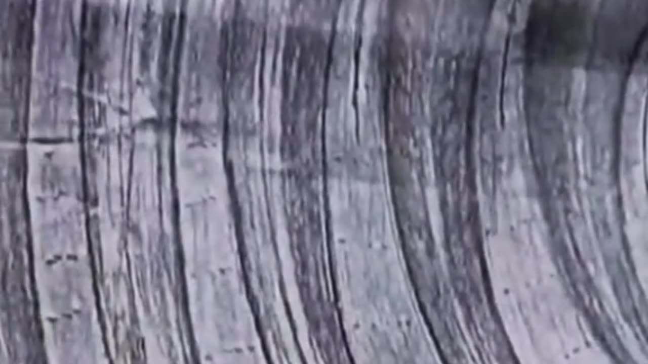 Виктор Шаубергер