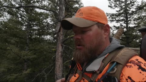 Is that an elk?