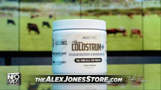 INFOWARS LIVE - 12/29/25: The American Journal with Breanna Morello / The Alex Jones Show / The War Room With Harrison Smith