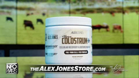 INFOWARS LIVE - 12/29/25: The American Journal with Breanna Morello / The Alex Jones Show / The War Room With Harrison Smith