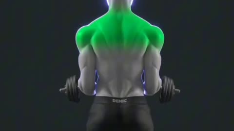 Jak poprawnie ćwiczyć bicepsy - Najczęstsze błędy i technika (www.Fitness-Gym.eu)