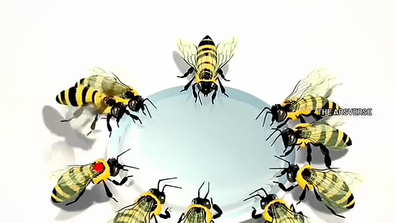 The discovery of honeybee language