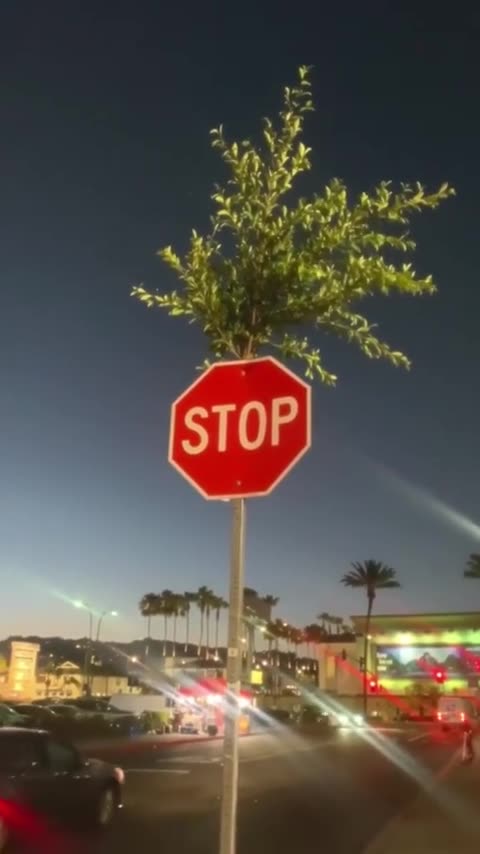 Life always finds a way!