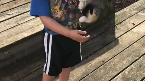 my son with our new cat