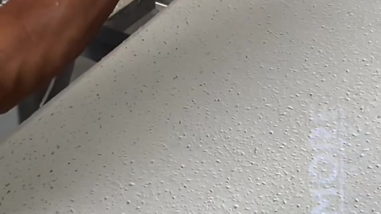 Looking for the perfect Acoustic Ceiling Board for your space?