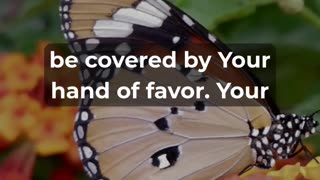 This Prayer Will Change Your Weekend!