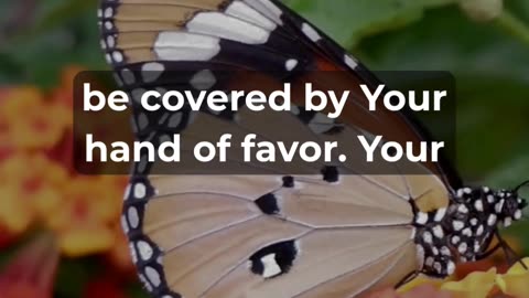 This Prayer Will Change Your Weekend!