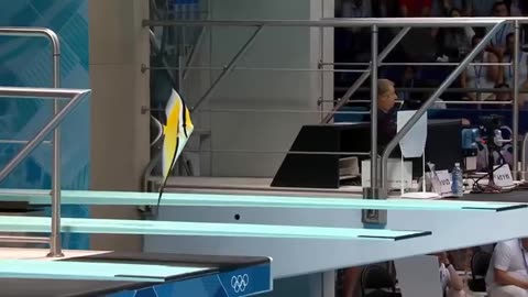 Which Fish Wins Gold - Animal Olympics