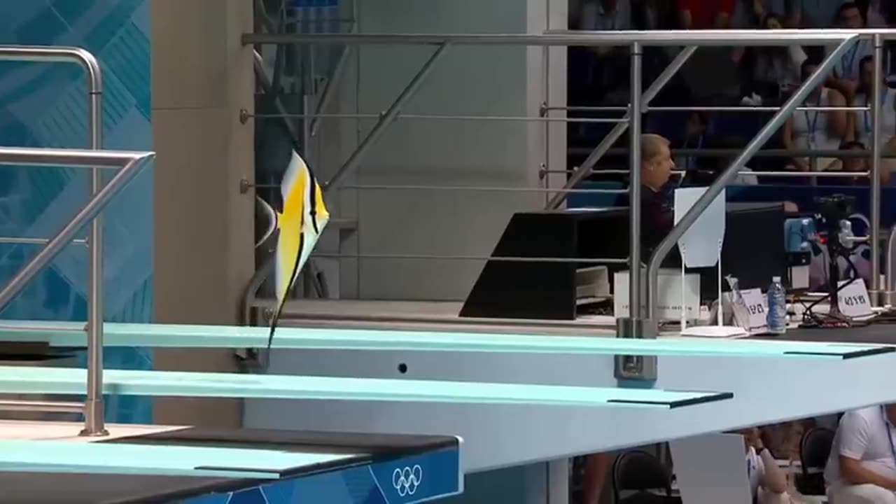 Which Fish Wins Gold - Animal Olympics